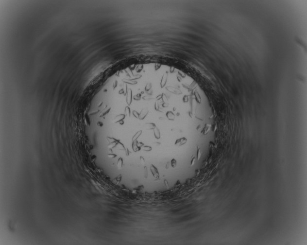 X0000092330775200710051314