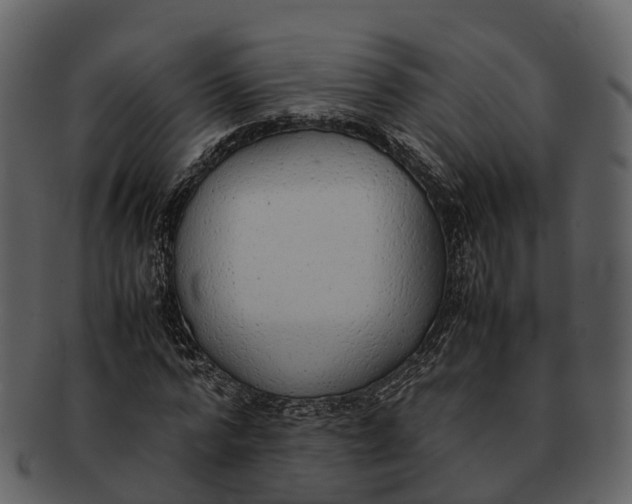 X0000092330776200710051314