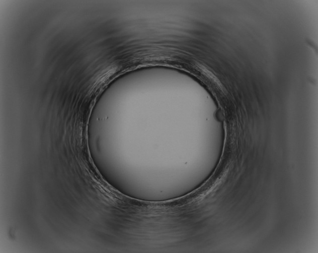 X0000092330777200710051314