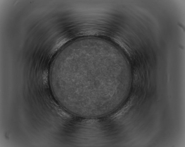 X0000092330778200710051314