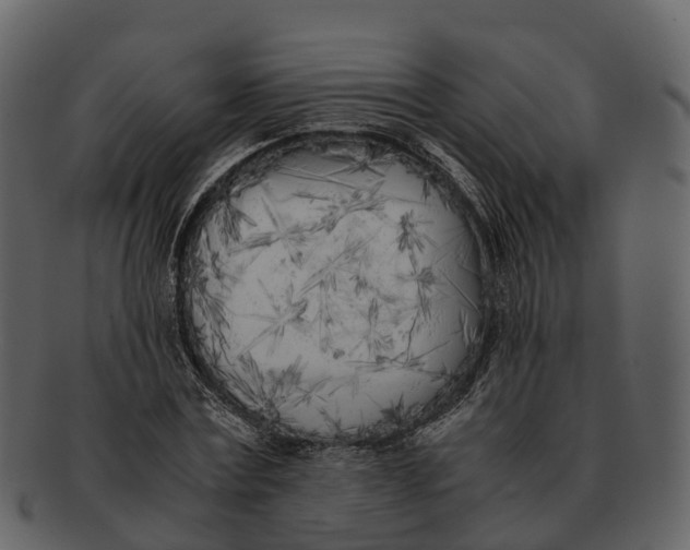 X0000092330779200710051314