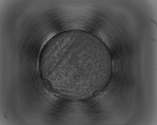 X0000092330780200710051314
