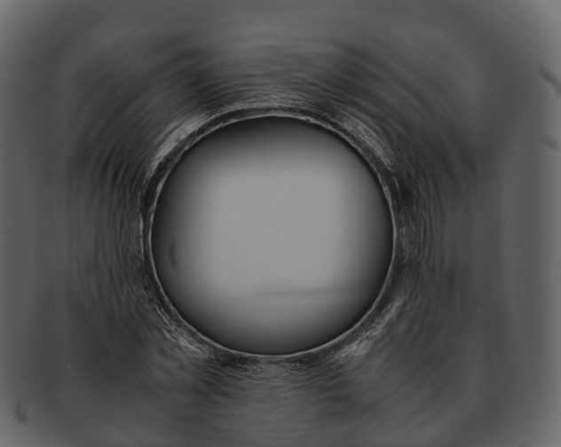 X0000092330781200710051314