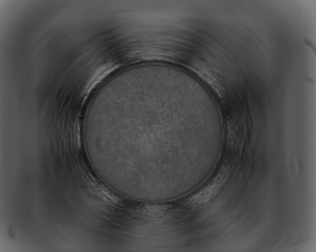 X0000092330782200710051314