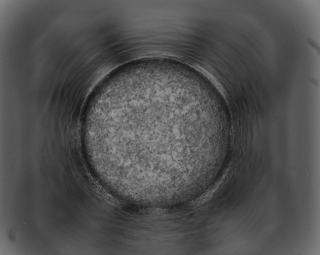 X0000092330783200710051314