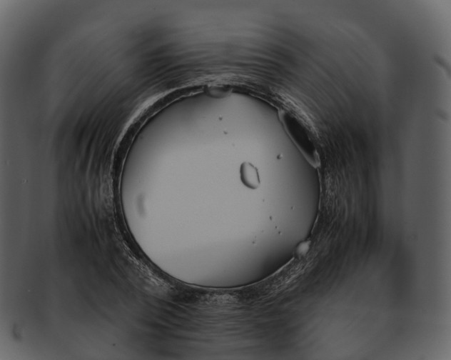 X0000092330784200710051314