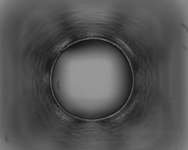 X0000092330785200710051314