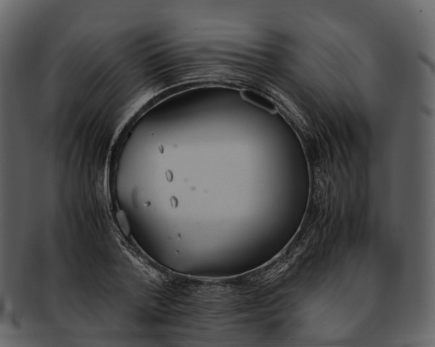 X0000092330788200710051314