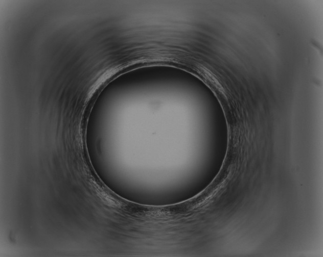 X0000092330789200710051314