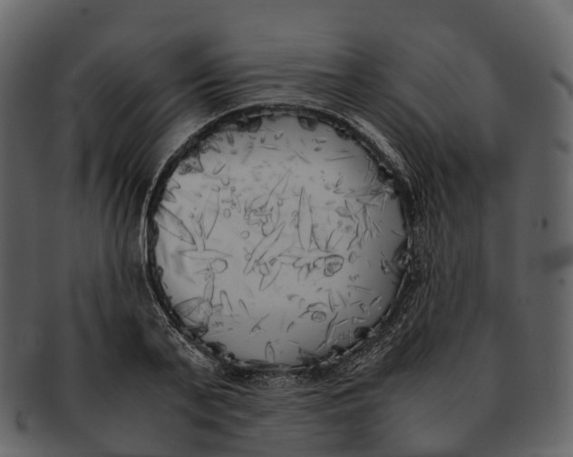 X0000092330791200710051314