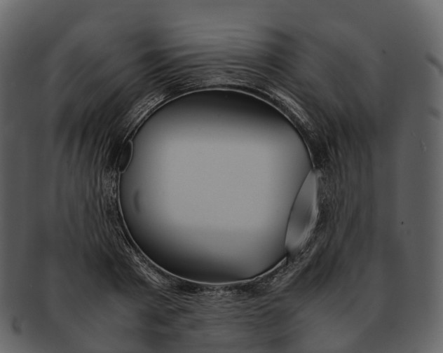 X0000092330793200710051314