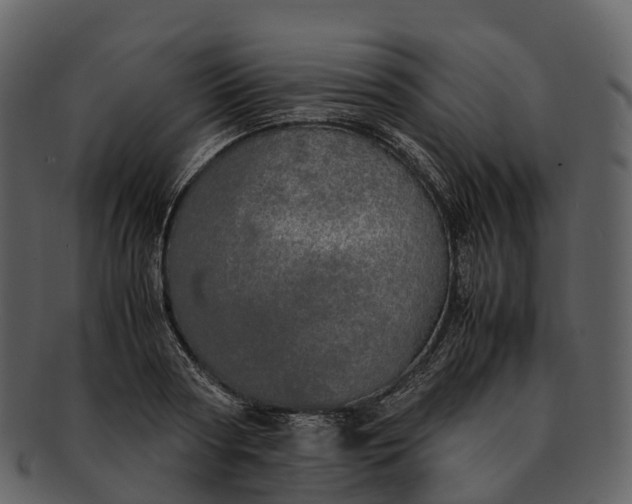 X0000092330794200710051314