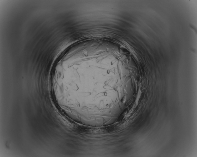 X0000092330795200710051314