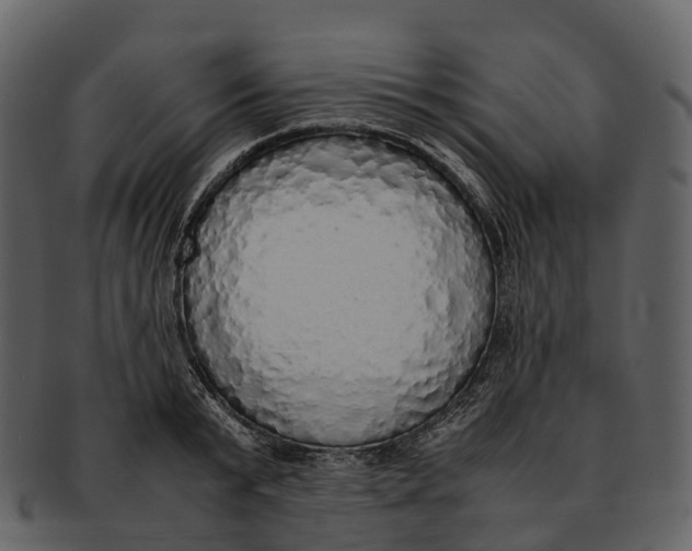 X0000092330799200710051314