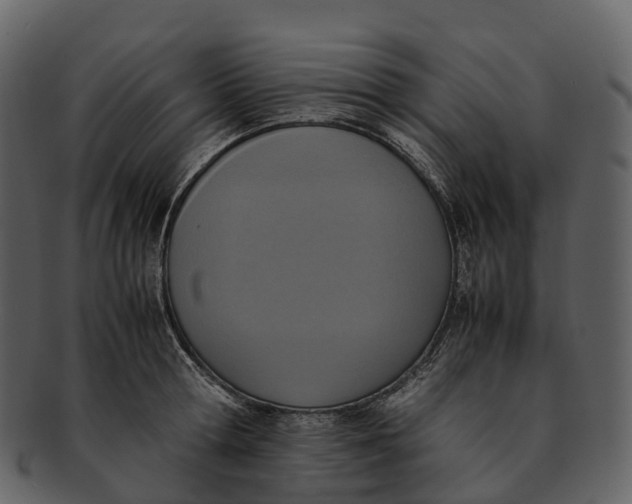 X0000092330802200710051314