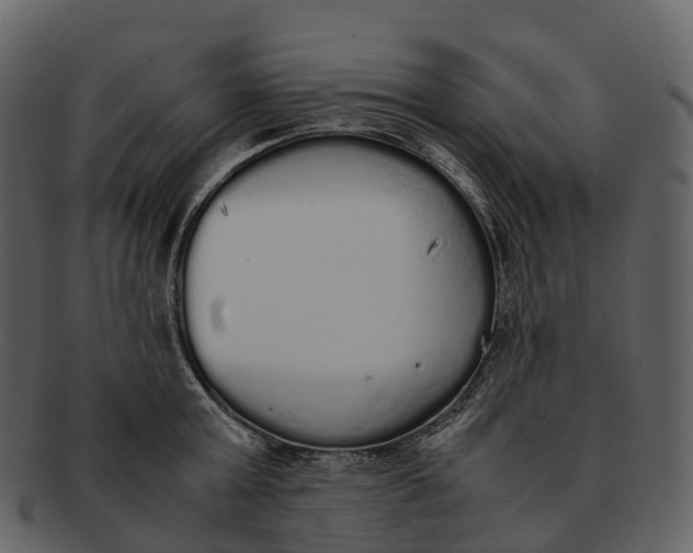 X0000092330803200710051314