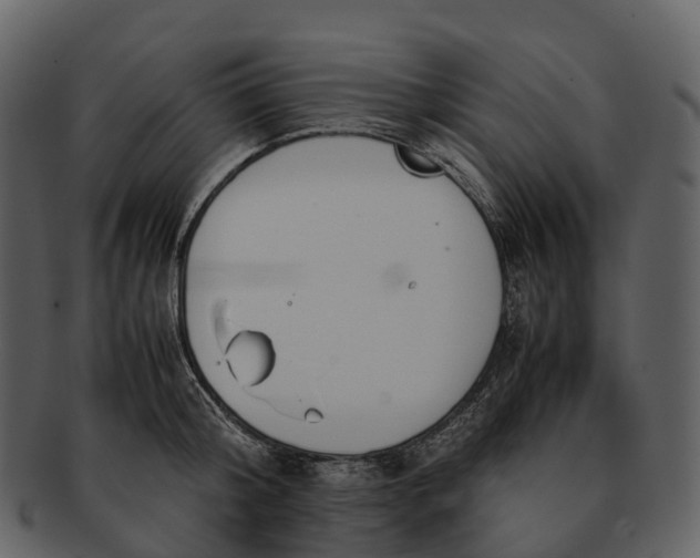 X0000092330804200710051314