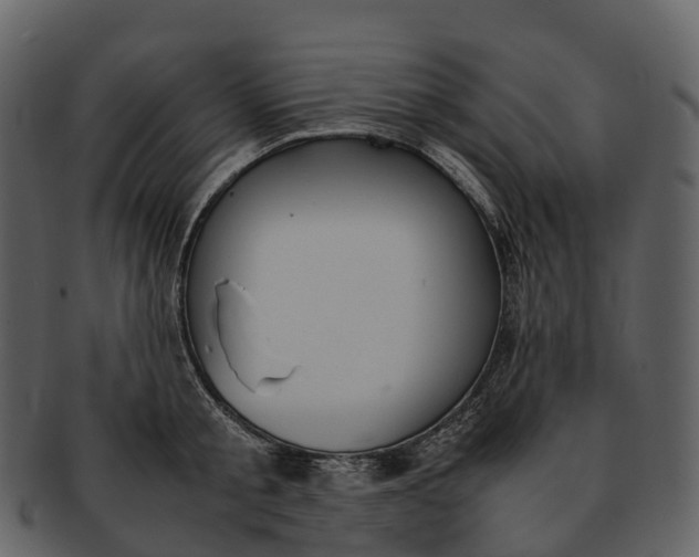 X0000092330805200710051314