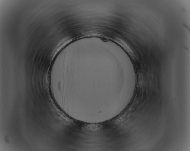 X0000092330806200710051314