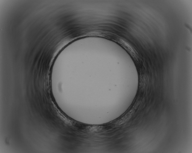 X0000092330808200710051314