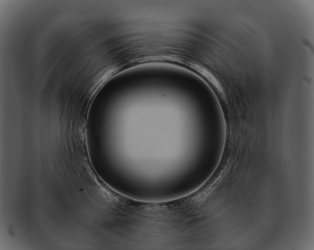 X0000092330809200710051314