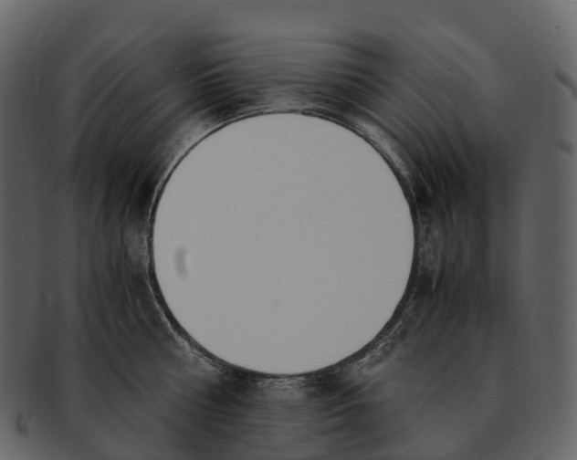 X0000092330810200710051314