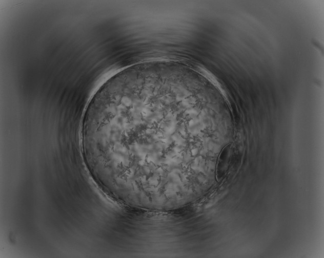 X0000092330811200710051314