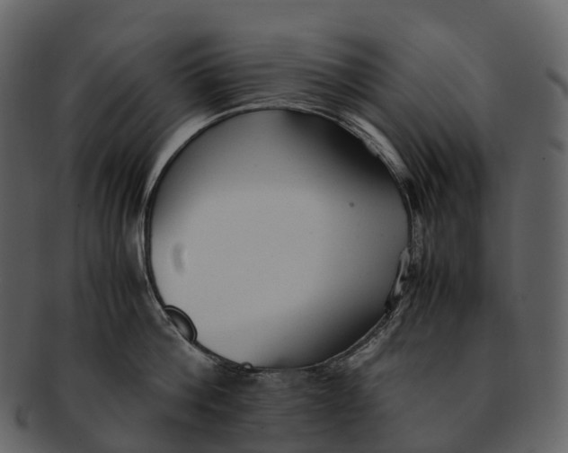 X0000092330812200710051314