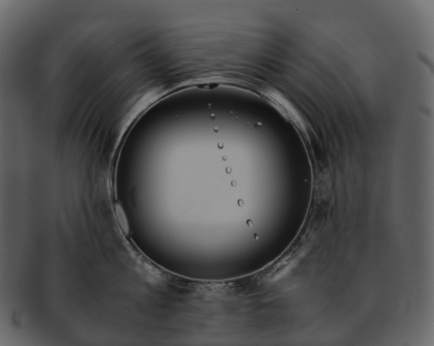 X0000092330813200710051313