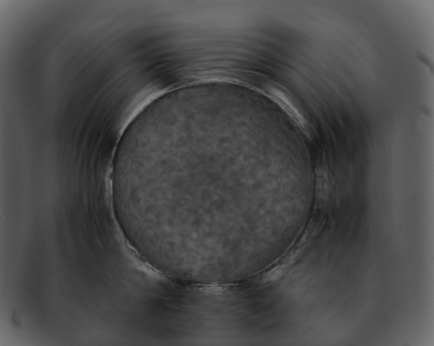 X0000092330814200710051313