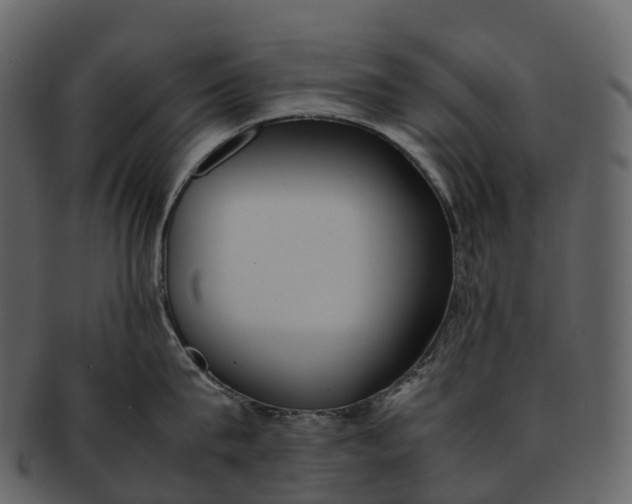 X0000092330815200710051313