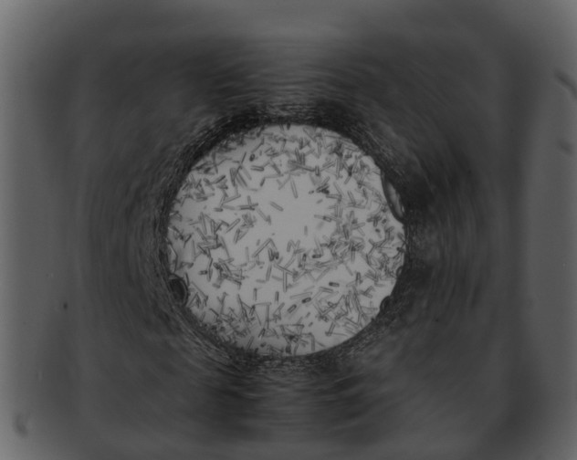 X0000092330817200710051313