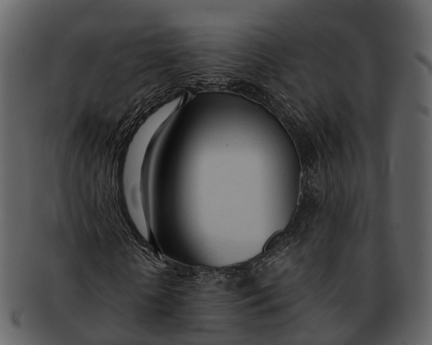 X0000092330818200710051313