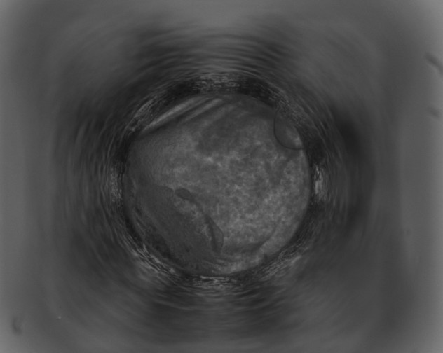 X0000092330819200710051313