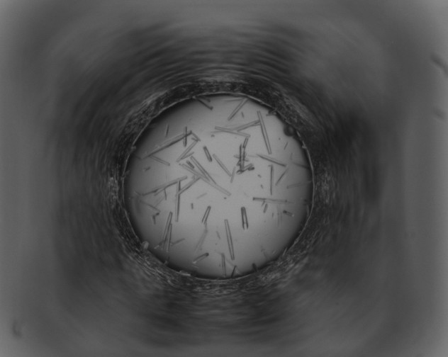 X0000092330821200710051313