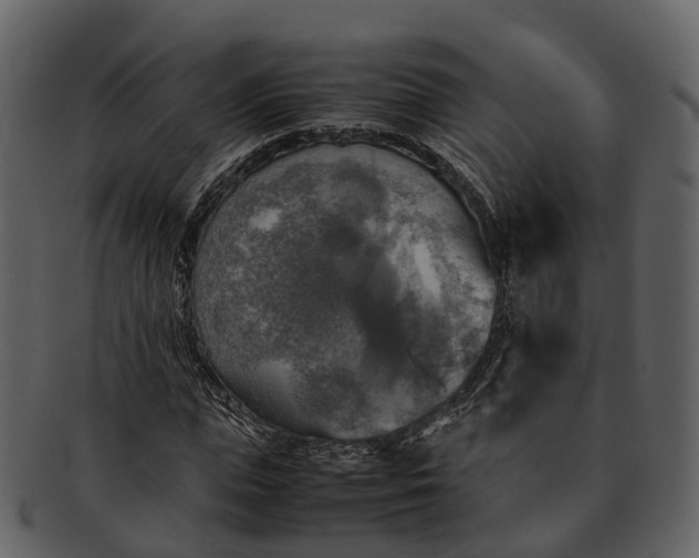 X0000092330823200710051313