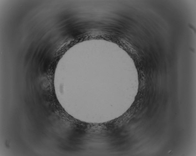 X0000092330824200710051313