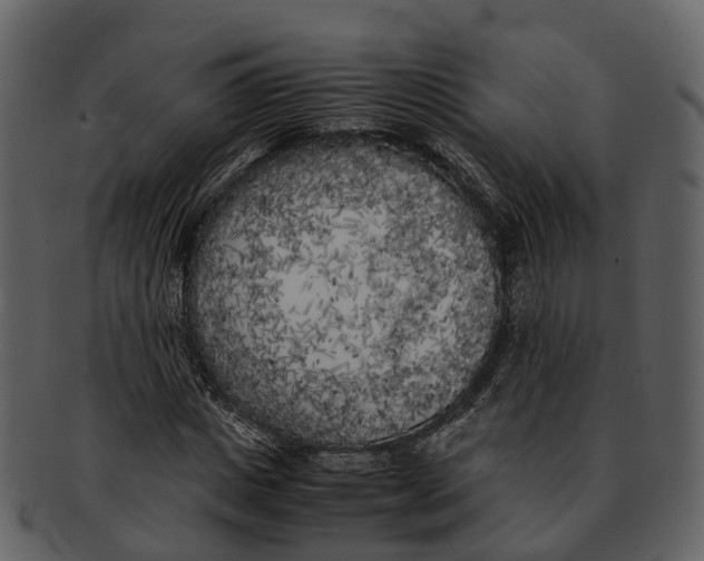 X0000092330825200710051313