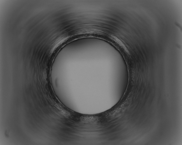 X0000092330826200710051313
