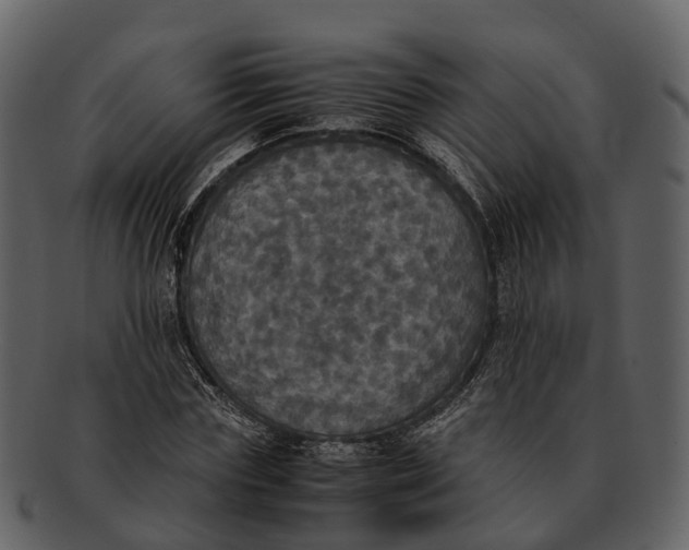 X0000092330827200710051313