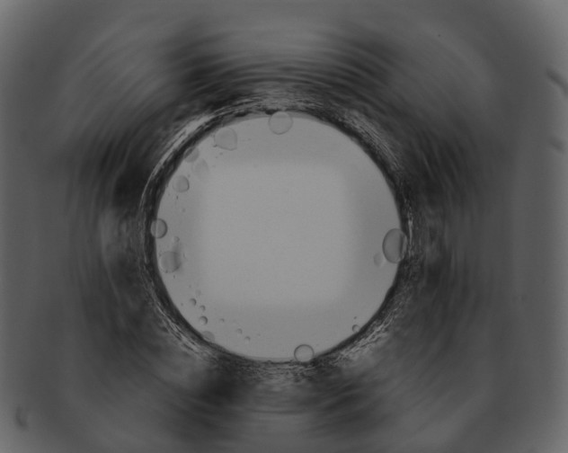 X0000092330828200710051313