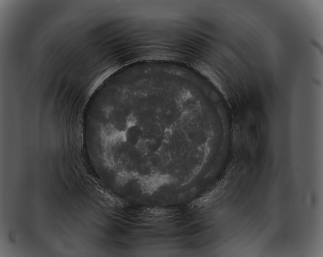 X0000092330829200710051313