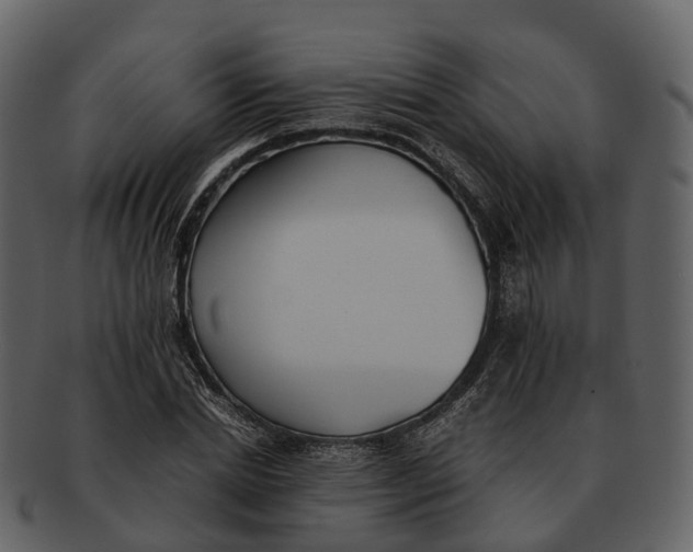 X0000092330830200710051313