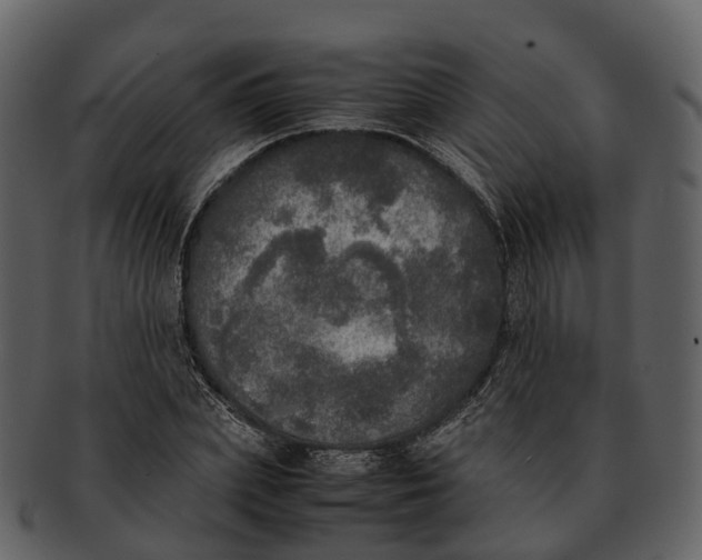 X0000092330831200710051313