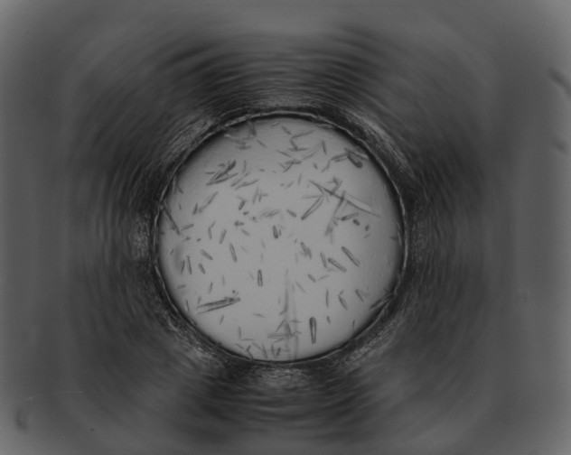 X0000092330833200710051313