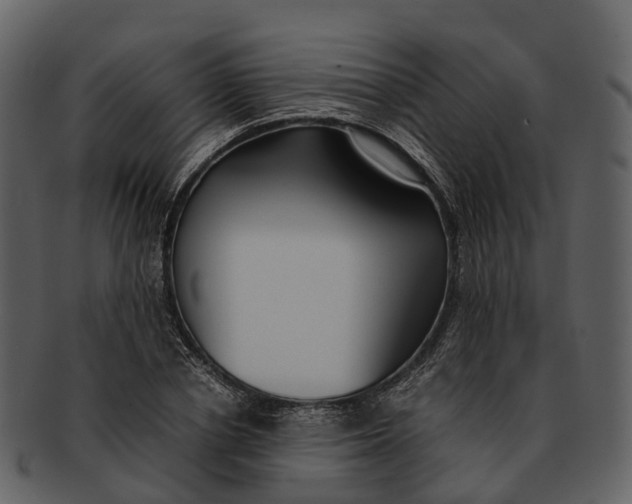 X0000092330834200710051313