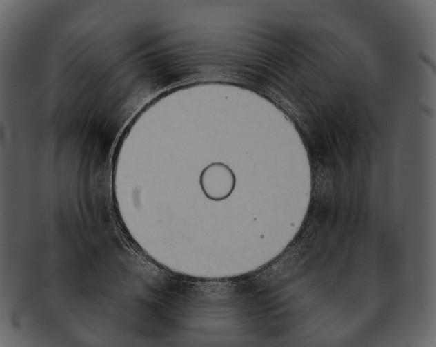 X0000092330836200710051313