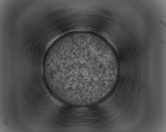 X0000092330837200710051313