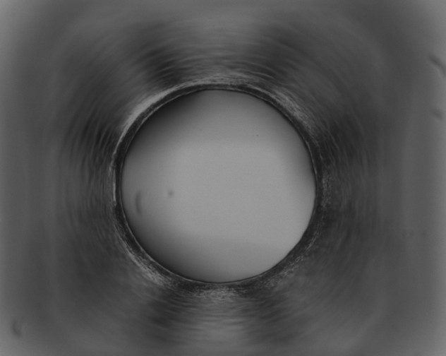 X0000092330838200710051313