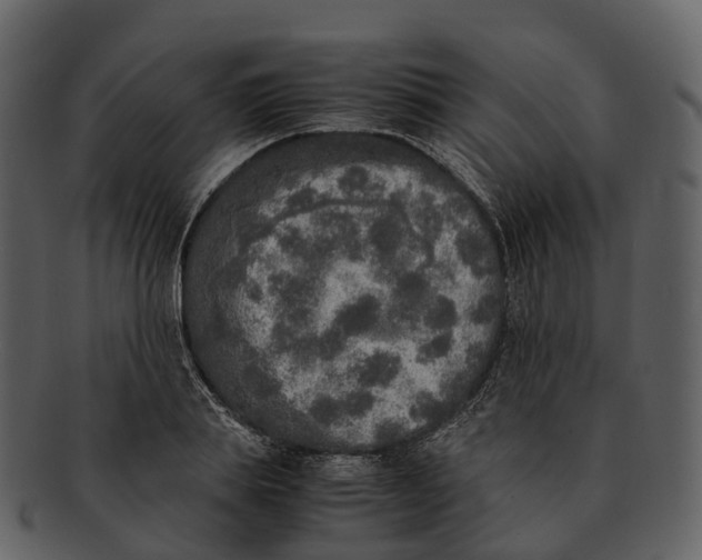 X0000092330839200710051313